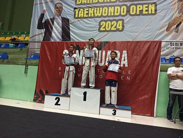 跆拳道谈判罚：尺度之争背后的逻辑（球迷文化视角）